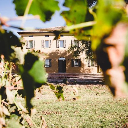 Agriturismo Vitae Fabbrico Dış mekan fotoğraf