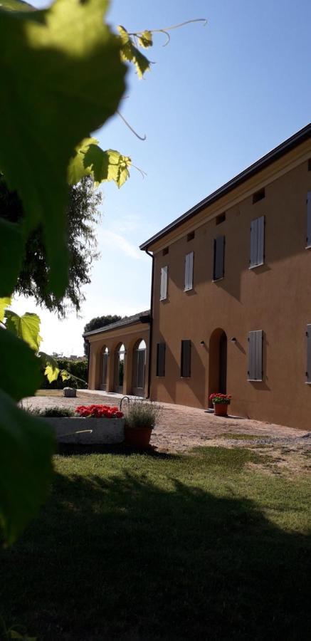 Agriturismo Vitae Fabbrico Dış mekan fotoğraf