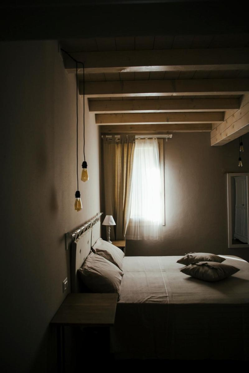 Agriturismo Vitae Fabbrico Dış mekan fotoğraf