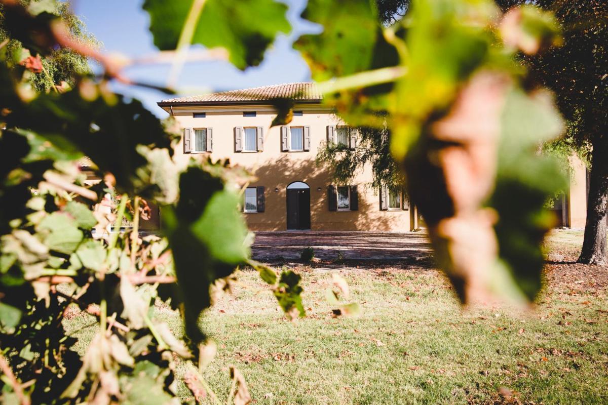 Agriturismo Vitae Fabbrico Dış mekan fotoğraf
