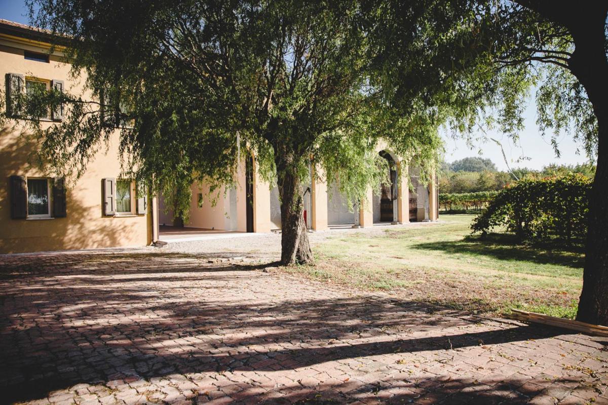 Agriturismo Vitae Fabbrico Dış mekan fotoğraf