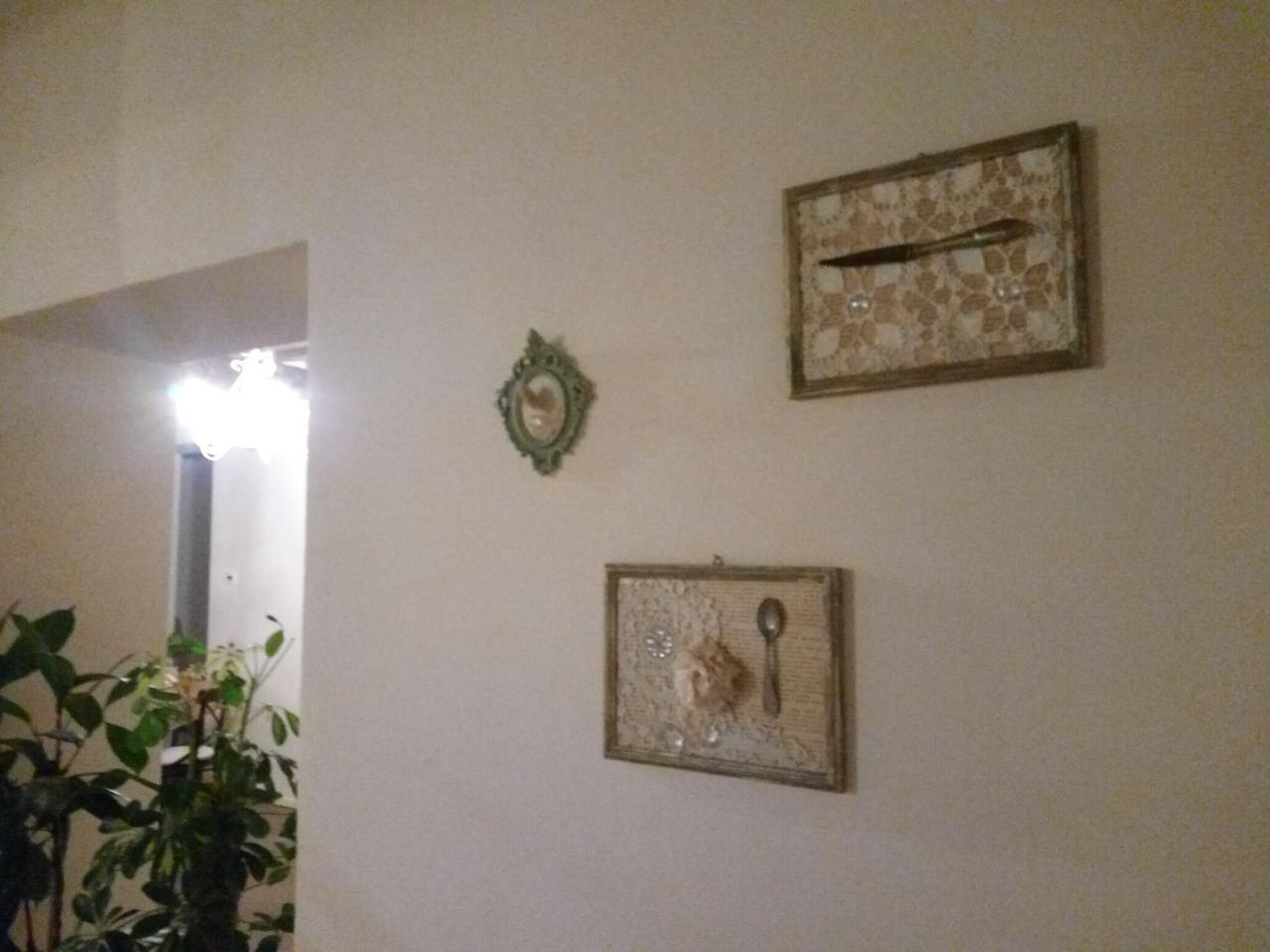 Agriturismo Vitae Fabbrico Dış mekan fotoğraf