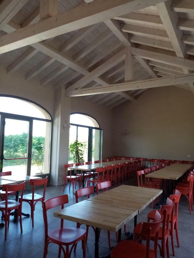 Agriturismo Vitae Fabbrico Dış mekan fotoğraf
