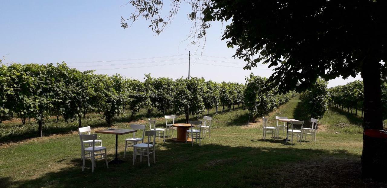 Agriturismo Vitae Fabbrico Dış mekan fotoğraf
