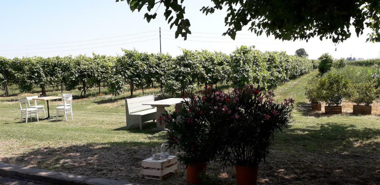Agriturismo Vitae Fabbrico Dış mekan fotoğraf