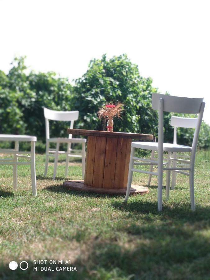 Agriturismo Vitae Fabbrico Dış mekan fotoğraf
