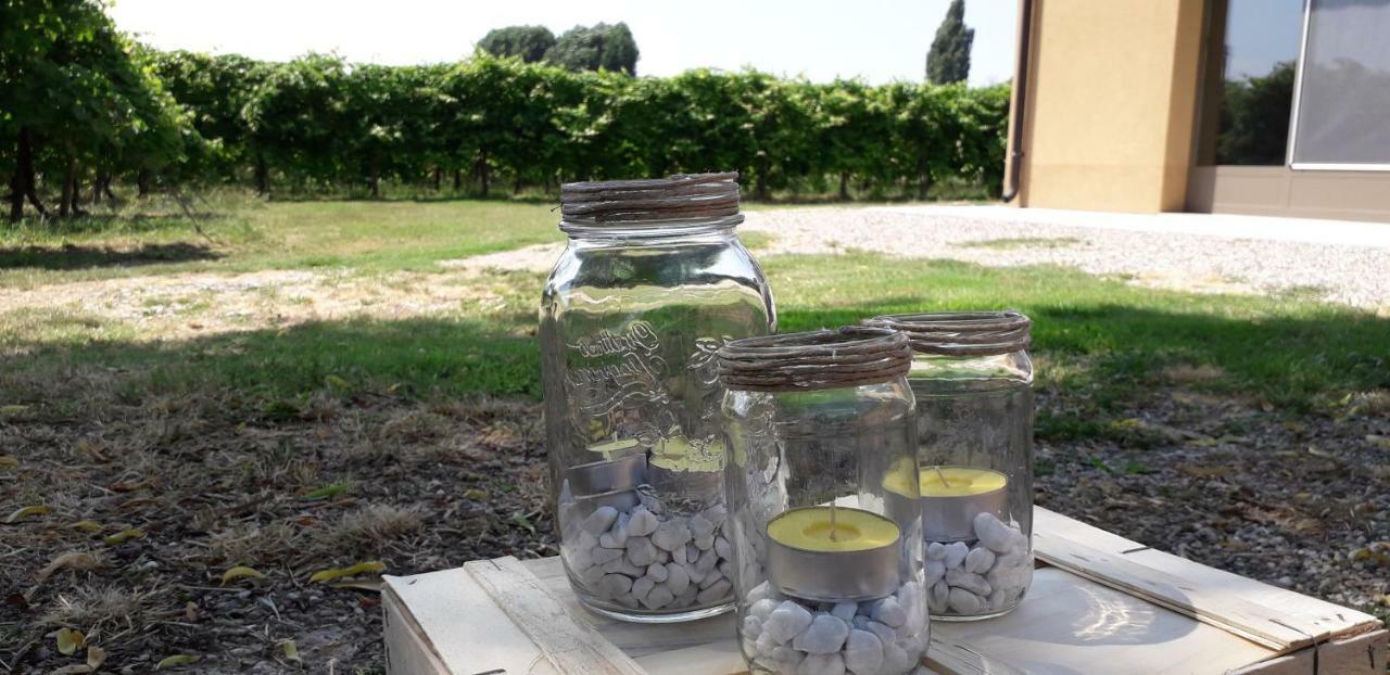 Agriturismo Vitae Fabbrico Dış mekan fotoğraf
