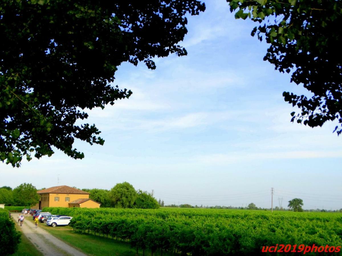 Agriturismo Vitae Fabbrico Dış mekan fotoğraf